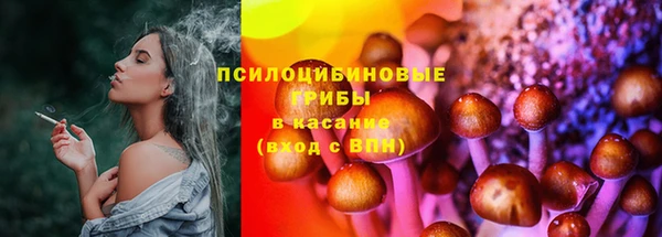 твердый Аркадак