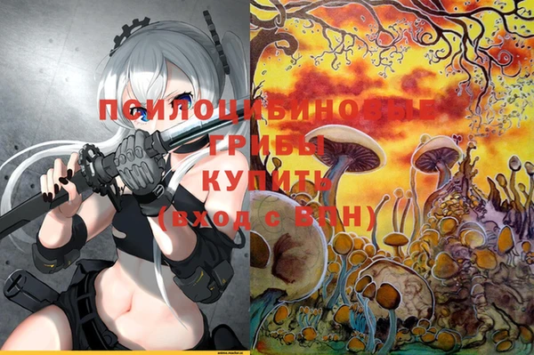 спиды Балахна