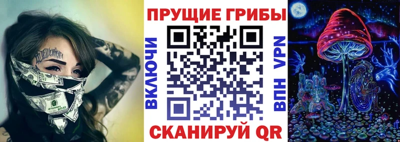 магазин  наркотиков  Ладушкин  даркнет телеграм  Псилоцибиновые грибы прущие грибы 